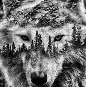 Meet your Posher, Mandi